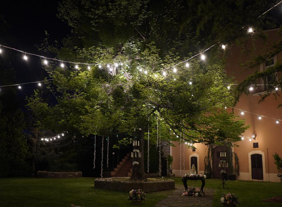 Giardino notturno incantato, luci sospese tra gli alberi, atmosfera magica e romantica.